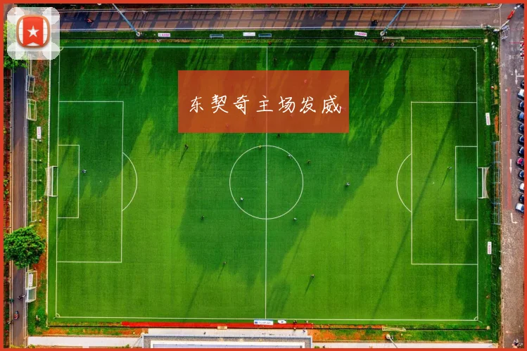 东契奇主场发威