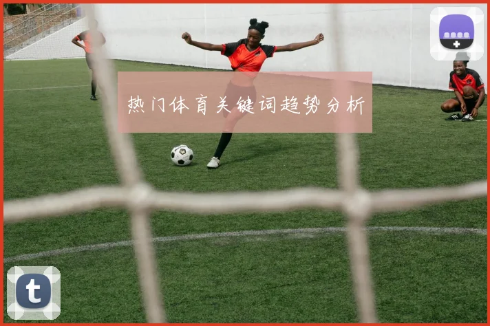 热门体育关键词趋势分析